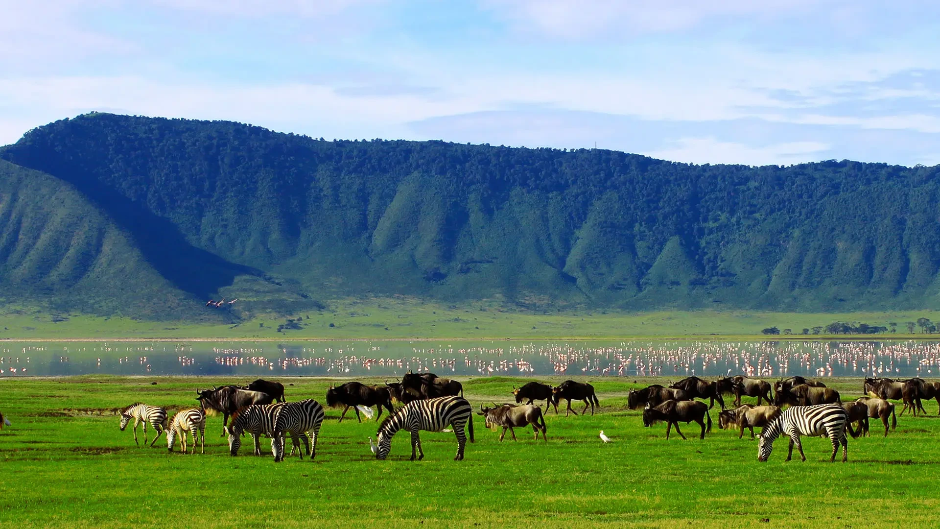 Golden hour, Ngorongoro Crater